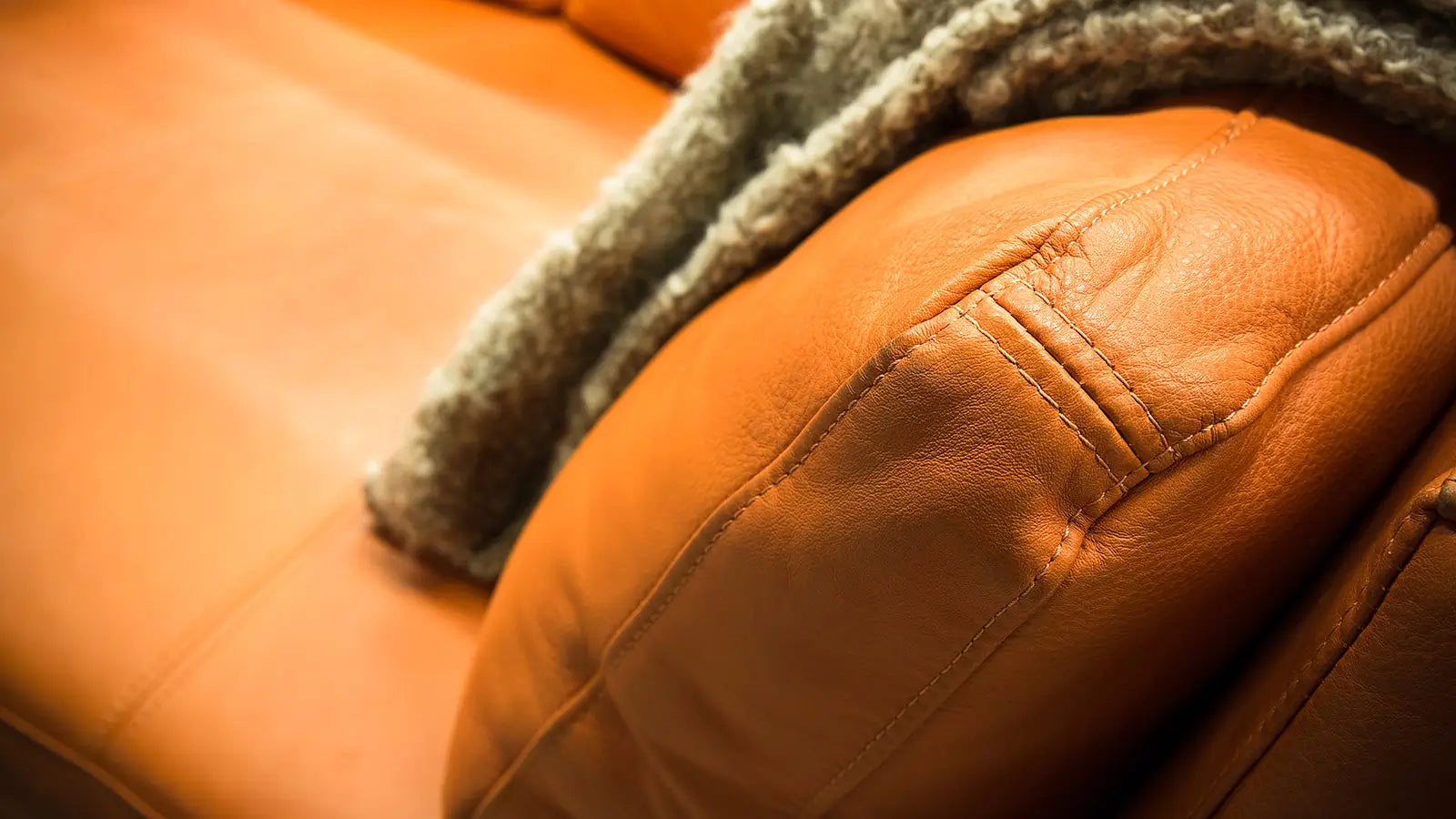 Fabric Maintenance Guide