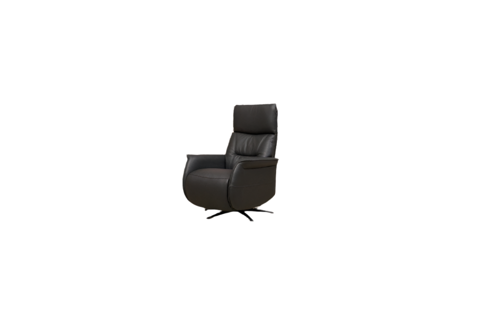 Jamie Swivel Electric Recliner