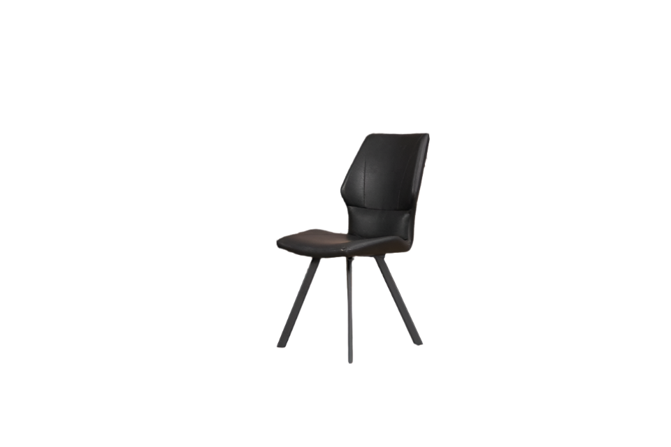 TW1625 Dining Chair